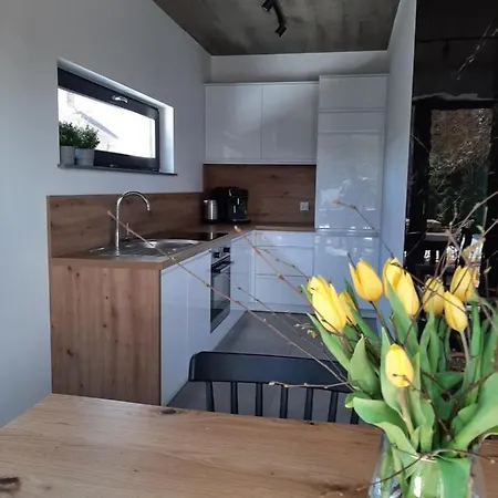 Sosnowe Zacisze بيت للعطل ساسينو