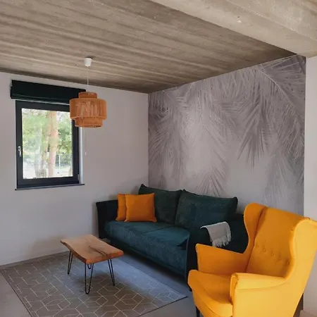 بيت للعطل Sosnowe Zacisze ساسينو