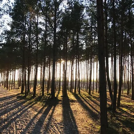 Sosnowe Zacisze * ساسينو