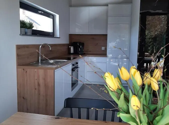 Sosnowe Zacisze Prázdninový dům Sasino