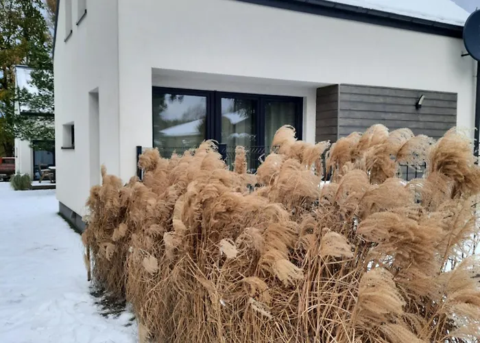 Sosnowe Zacisze 別荘 *