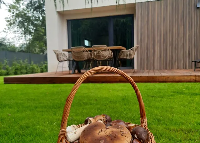 Sosnowe Zacisze * Sasino