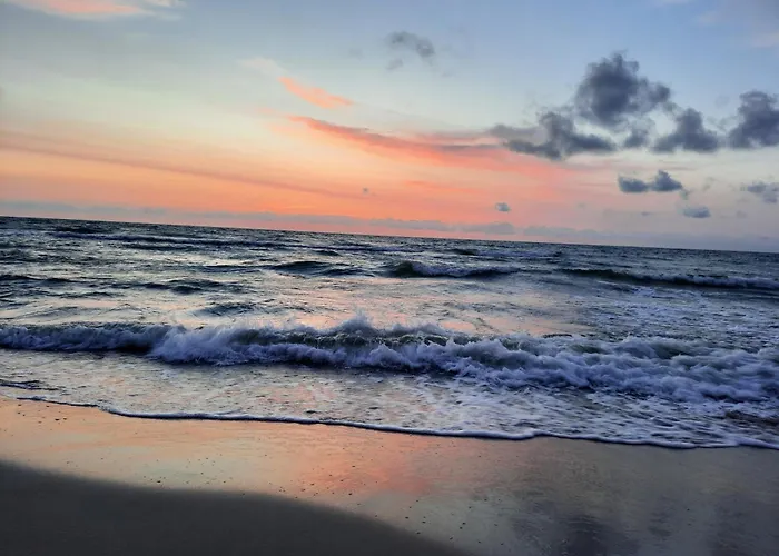 Sosnowe Zacisze Sasino