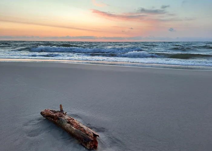 Sosnowe Zacisze Prázdninový dům Sasino