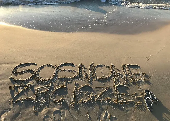 Sosnowe Zacisze * Sasino